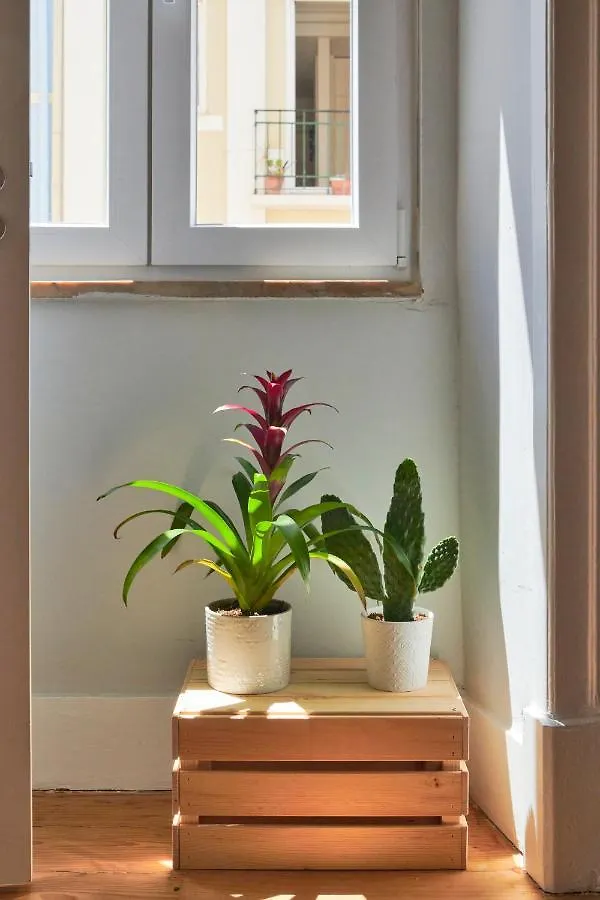 Design Apartment For Big Groups 4Bed/3Bath 리스본